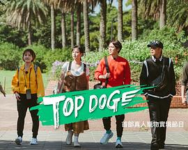 51黑料曝光吃瓜网《TOP DOG》免费在线观看