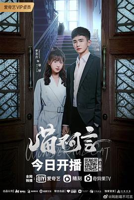 51黑料爆料网《喵不可言》免费在线观看