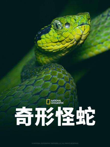 51黑料爆料网《奇形怪蛇》免费在线观看